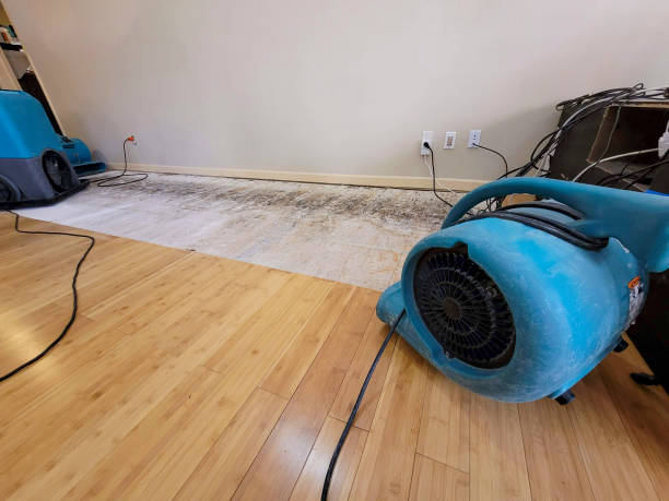 Professional Water Removal technician working in March Air Reserve Base, CA
